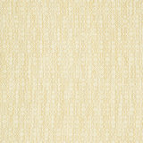 Performance Crypton Home Fabric
