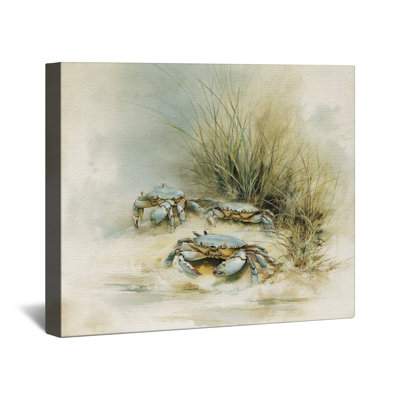 Toile tendue Crabs On Sandy Beach