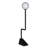 Dallas 71'' Matte Novelty Floor Lamp
