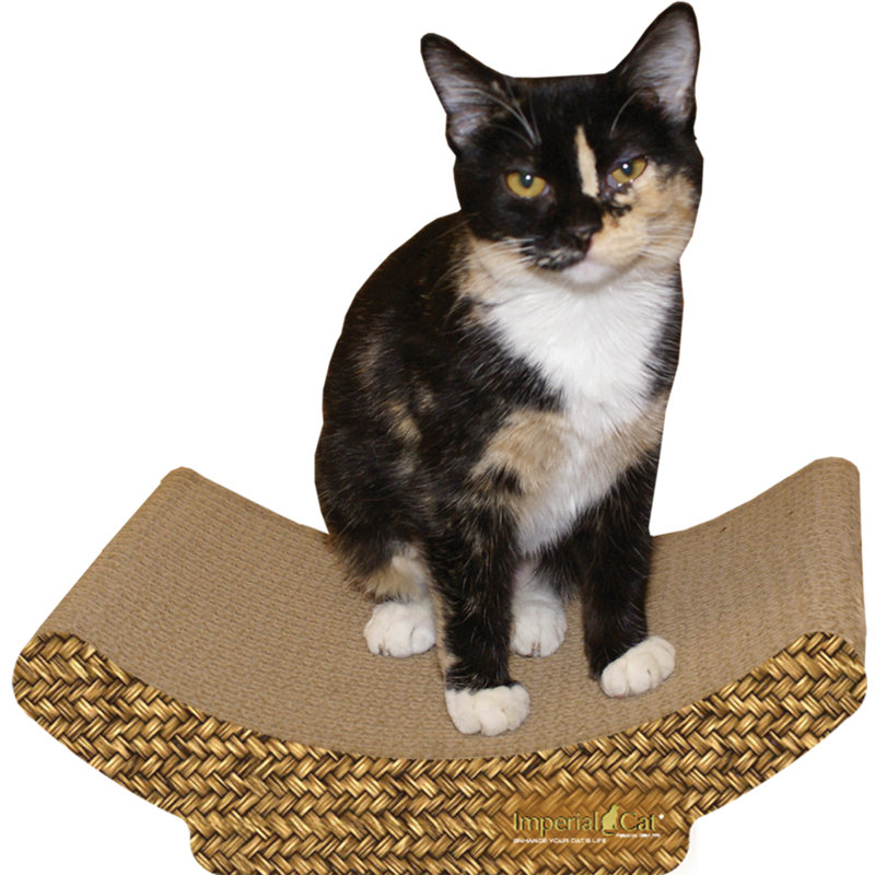 Anton Scratching Post