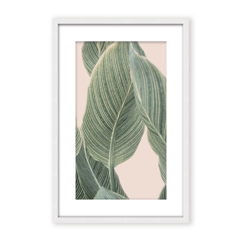 Coastal Retreat Calla Leaf by  - Picture Frame Graphic Art on Paper, 48" H x 32" W x 1.125" D, Framed Matted Print, Beige