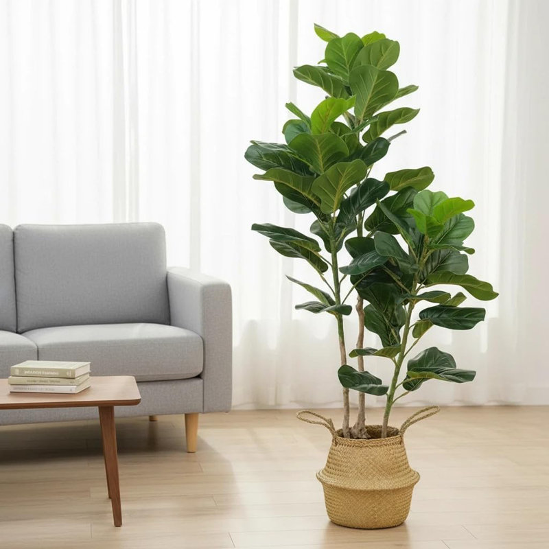 Arbre artificiel, arbre banian à 3 tiges de violon (H 100 cm) - Faux banian pré-assemblé avec pot à fleurs tissé, feuilles réalistes