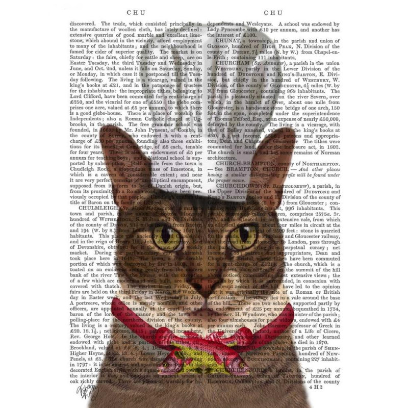 Alcott Hill® Fab Funky Gallery Wrapped Canvas Art Titled: Cat Chef, 34" H x 28" W
