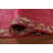 Bordered Fuchsian Traditional Runner Rug 2x10