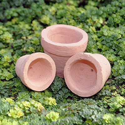 Ensemble de jardin miniature Kakarla