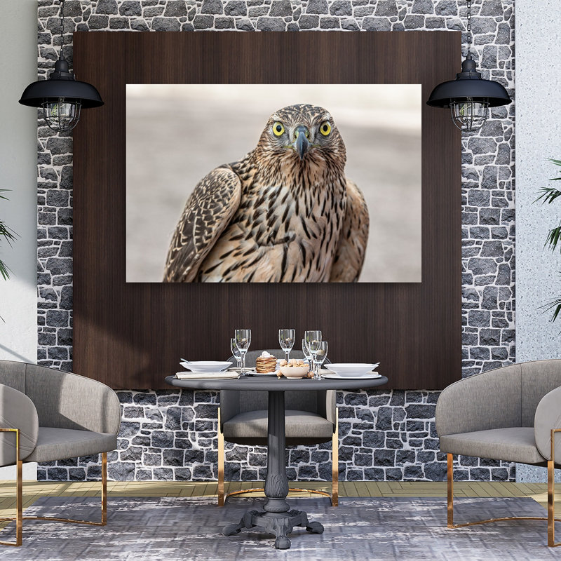 Reproduction d'art murale oiseau Intense Goshawk, H 40 po x l 60 po