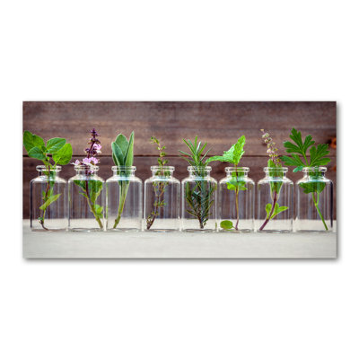 Plants In Jars - No Frame Print