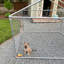 Toit pour animal de compagnie Haug-353473401