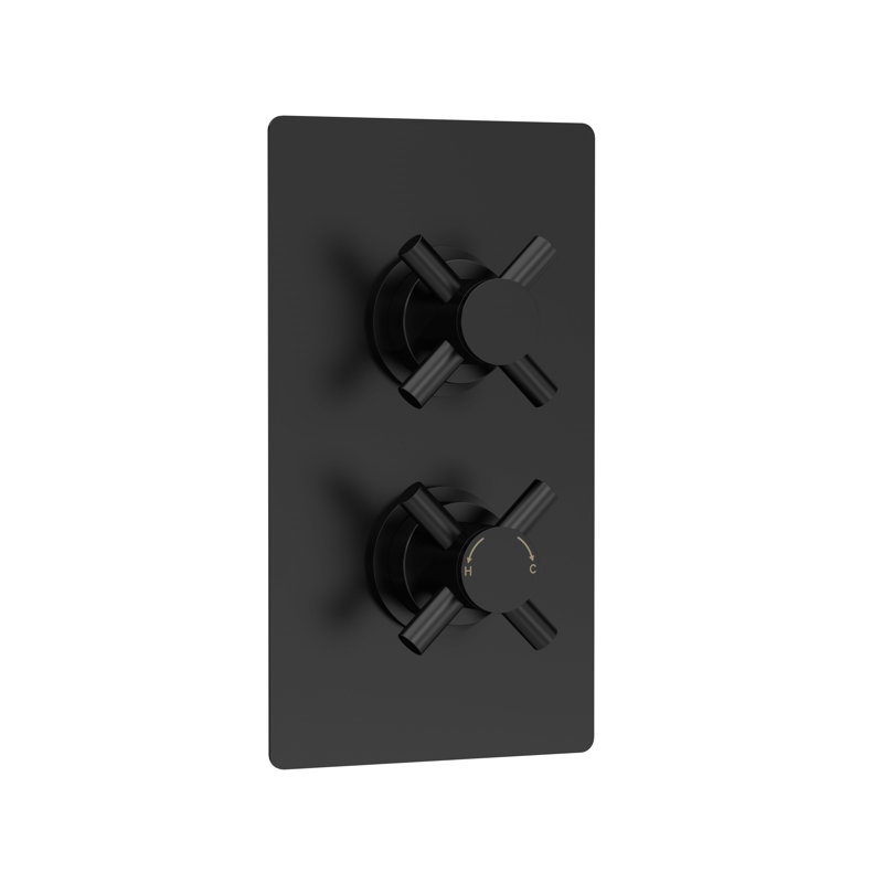 Tec Crosshead Double Concealed Thermostatic Shower Valve, Matte Black
