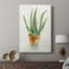 Succulent IV - galerie Cavas sur mesure-691230918