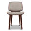 Nut Dining Chair