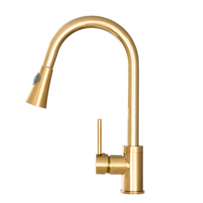 Belfry Kitchen Tabyana Kitchen Faucet
