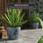 Fyvie Ceramic Cachepot-1199623442