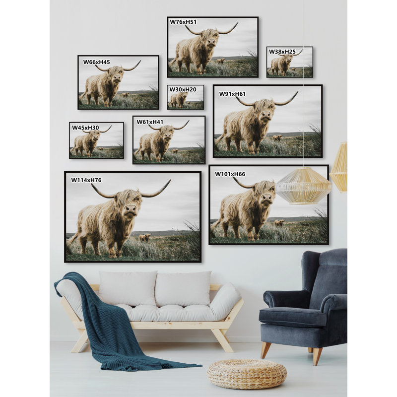 Roaming Cattle - Print, Floater Black Framed Canvas, 76cm H x 76cm W x 3.81cm D
