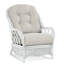  Everglade Rattan Arm Chair-27525509-61811606