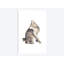 «Manx Cat», reproduction sur toile-72131204-32559212