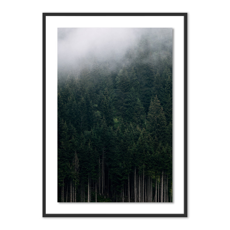 Rolling In 1 Print by Michael Schauer, Black, 48" H x 34" W x 2.5" D