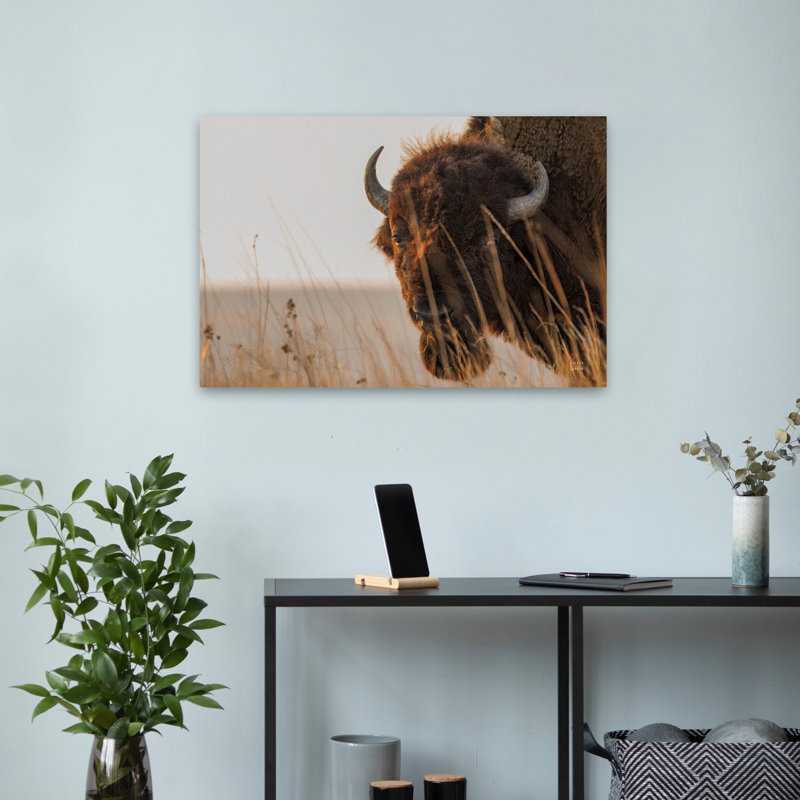 Coucher de soleil contemporain Bison, H 24 po x l 16 po
