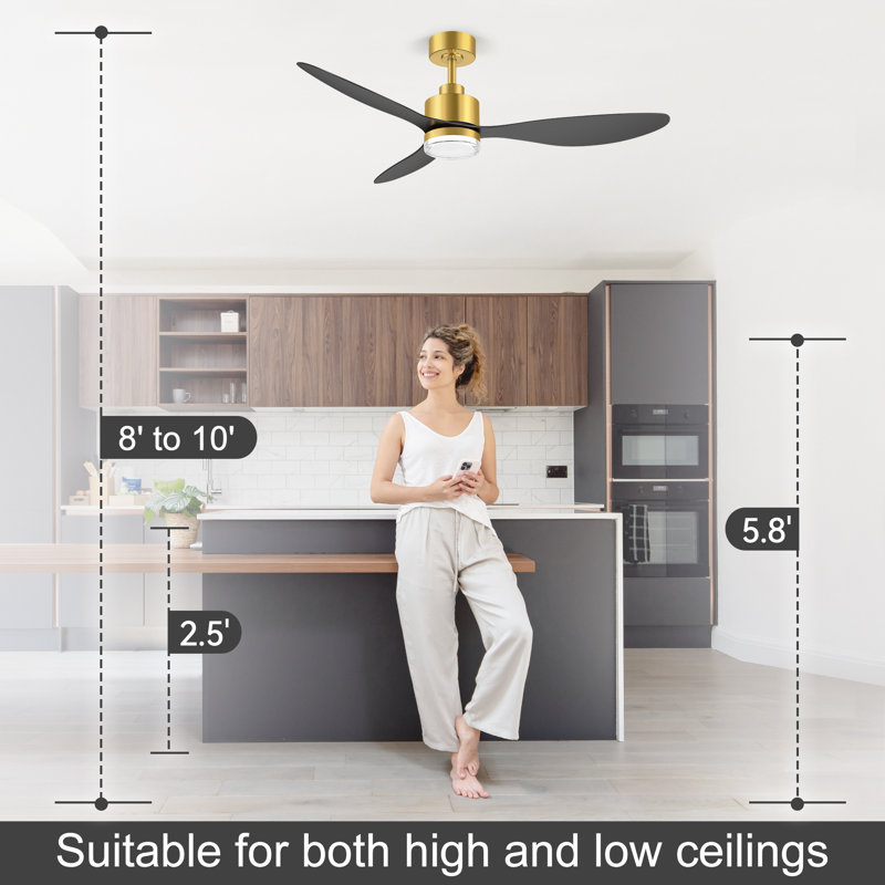52 Inch Modern Ceiling Fan With Light And Remote, Gold And Black 3-Blade Ceiling Fan, DC Motor With Reversible Airflow, Double  Acrylic Shade, For Bedroom Living Room