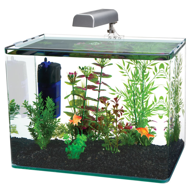 Radius Rectangle Nano Aquarium Kit – Includes LED Light, Internal Filter, and Mat, 7.5 Gallon (12"H x 16.5"W x 10.75"D)