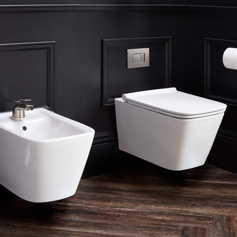 Modulus Dual-Flush Elongated Wall-Mount Toilet (Seat Included)