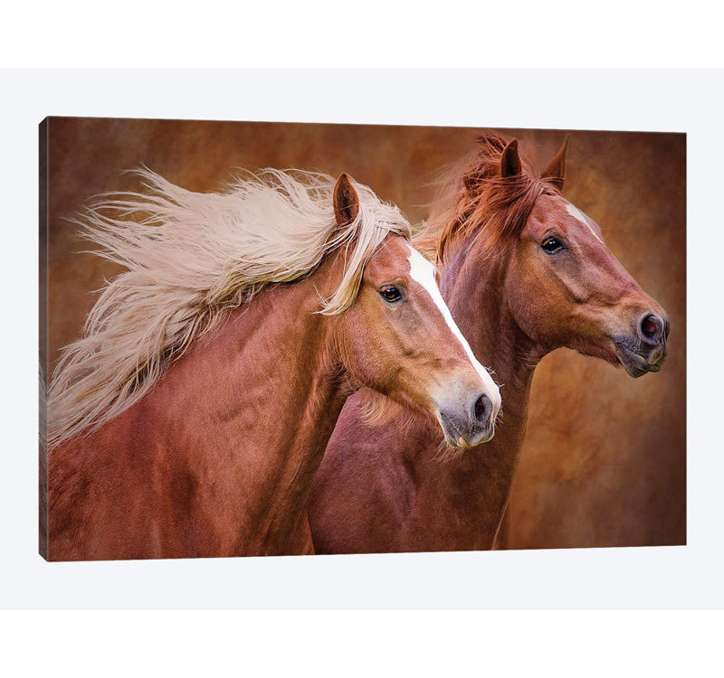 «Purebred I», impression sur toile, H 8 po x l 12 po x P 0,75 po, Toile tendue, Pas de tapis