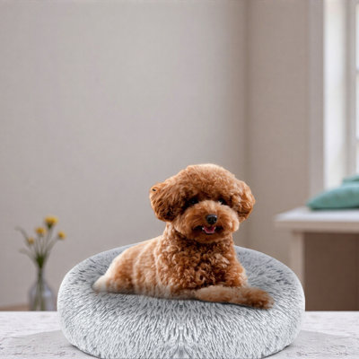 Coussin pour chien
