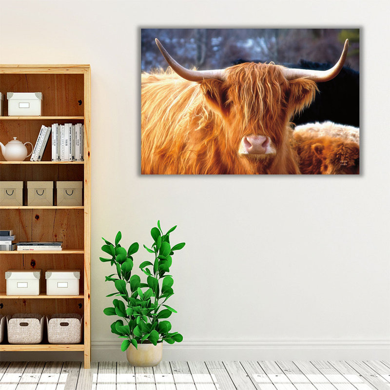 Highland Cow Sunshine - reproduction d'art sur toile, H 20 po x l 30 po