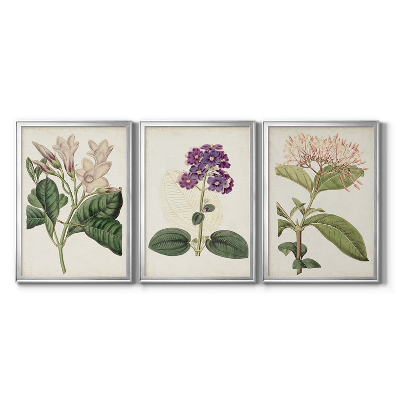 Antique Antique Botanical Collection, Argent argent, H 27 po x l 39 po