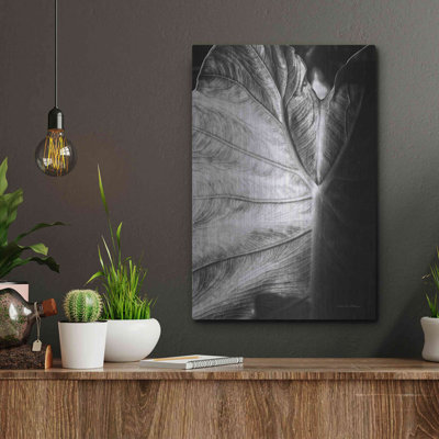 «Elephant Ear I» par Debra Van Swearingen