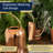SMALL COPPER WATERING CAN