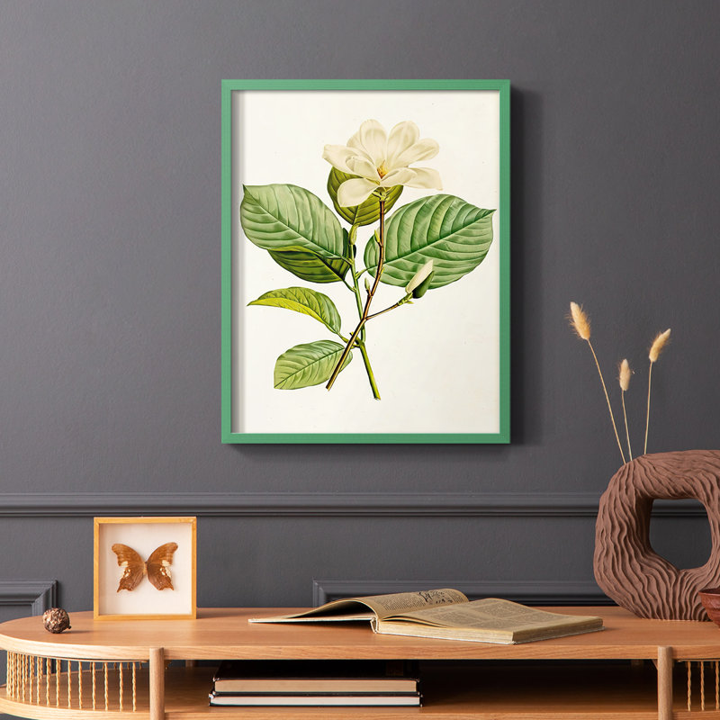 «Magnolia Flowers I», reproduction encadrée - bois massif, Vert, H 10 po x l 8 po