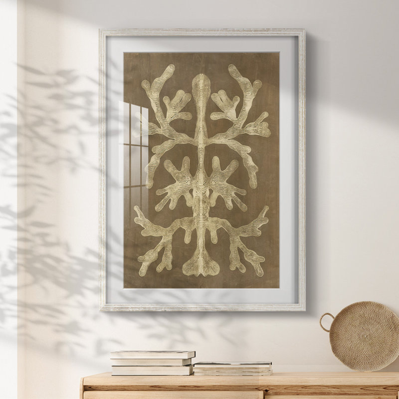 Printed Umber Curiosities II -Framed Print, 28.5" H x 20.5" W, White