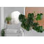 Battershall Novelty Wall Mirror-1131923687