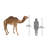 Grand-Scale Desert Camel Statue