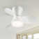 Ceiling Fan with Remote Control and LED Light