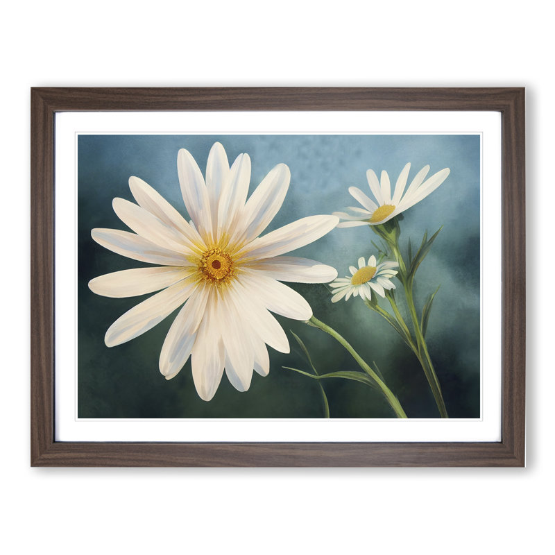 Extraordinary Daisy Flowers - Framed Print, 34cm H x 46cm W x 2cm D, Walnut Framed