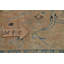 Siau One-of-a-Kind 9'2" X 12'5" 1950s Wool Area Rug in