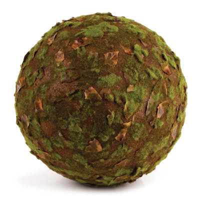 Rustic Preserved Moss Desktop Topiary