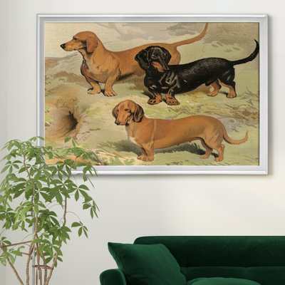 Dachsunds - reproduction d'art sur toile