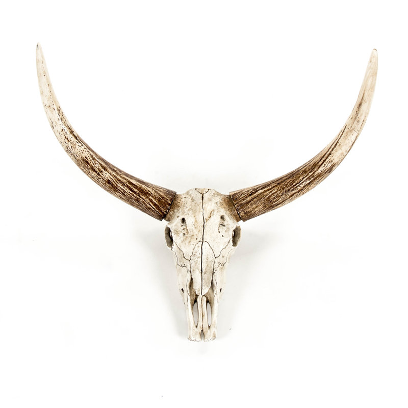 Bull Skull Handmade Resin Wall Decor