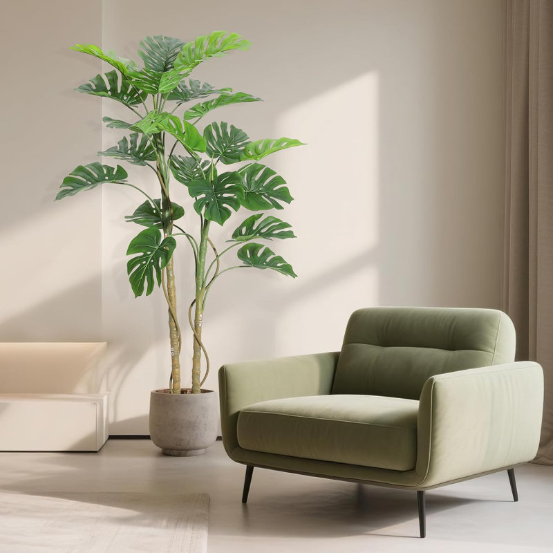60cm Plant