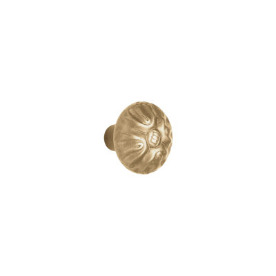 Medallion Bronze Mushroom Knob