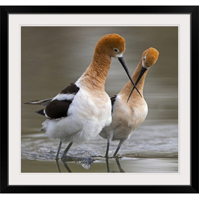 «Straub 'Love Crossing», reproduction de photo