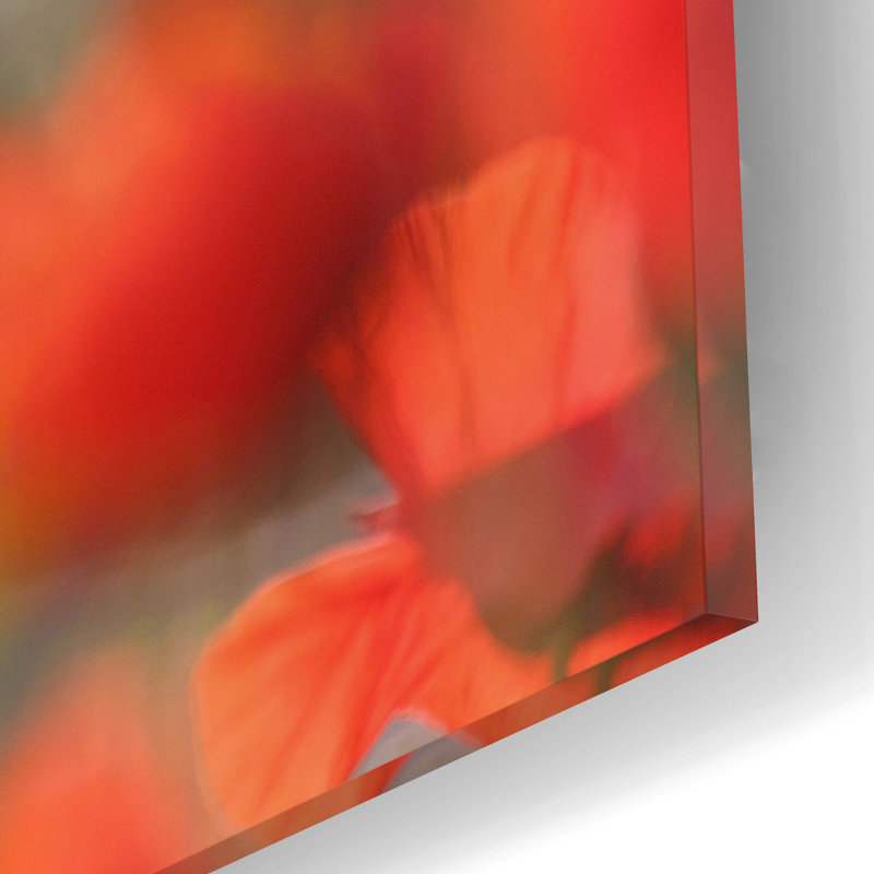 Epic Art «Poppy Delight» par Roeselien Raimond, Ac «Poppy Delight» par Roeselien Raimond, H 12 po x l 16 po x P 0,13 po