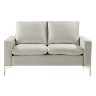 Julee 54.7'' Velvet Loveseat