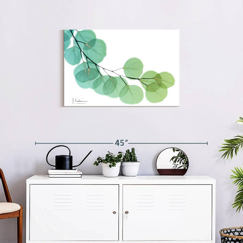 Harnek Golden Eucalyptus, 20" H x 30" W