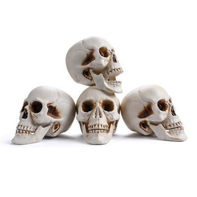 Yesocm 4 Pcs Life Size Skeleton Skull Halloween Realistic Human Model Moving Jaw Outdoor Indoor Decorations