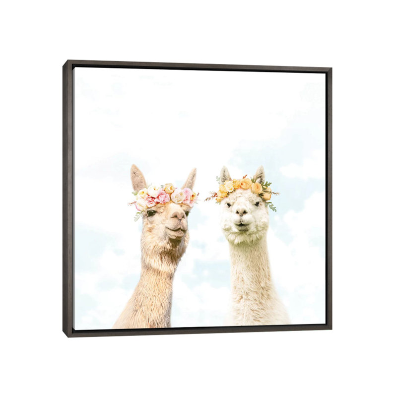 «Alpacas in Bloom» par Erin Summer - reproduction de photo, Toile avec cadre gris, Aucun mat, H 18 po x l 18 po x 1,5 po