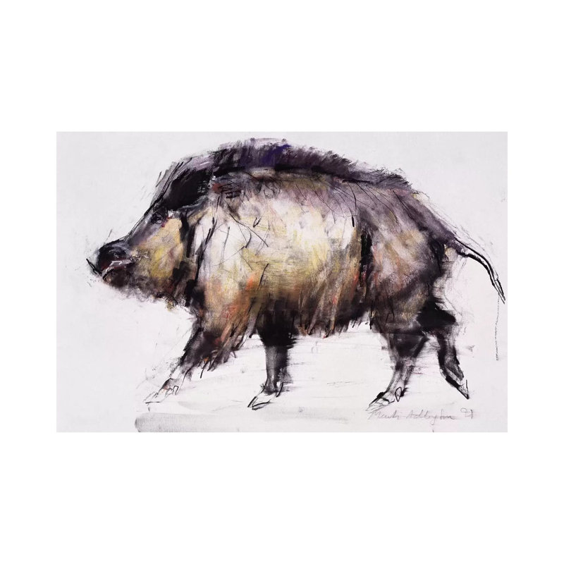 Wild Boar by Mark Adlington - Wrapped Canvas Painting, 20.32 cm H x 30.48 cm W